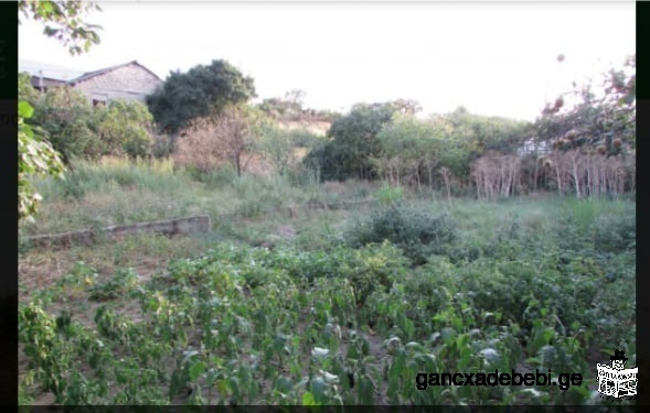 Land for sale in the village of Digomi