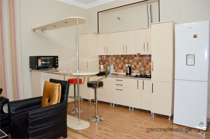 New apartment in Tbilisi center - for daily rent