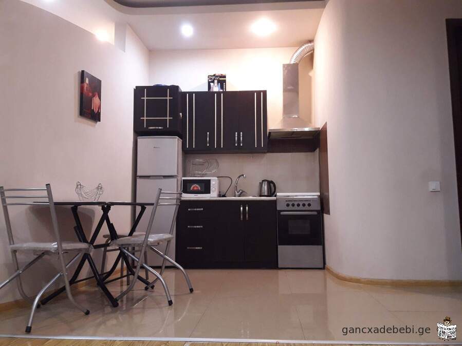 Newly renovated two room apartment for rent daily or monthly rentals in Saburtalo center, nice place