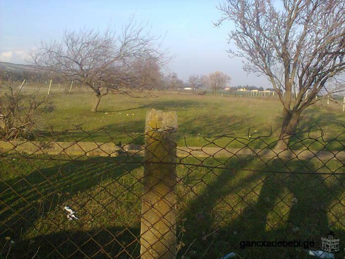 Non agricultural land for sale