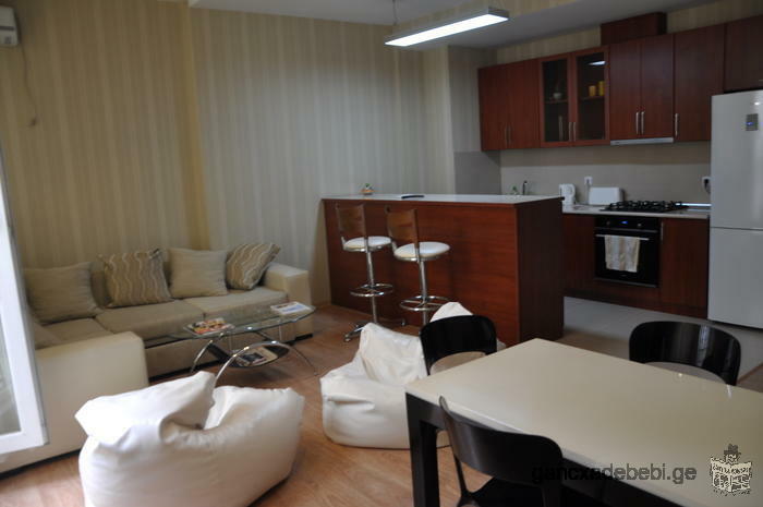 One bedroom apartment for rent in City center