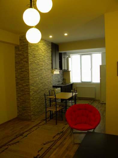 One bedroom apartment for rent in Tbilisi city center in prestigous building