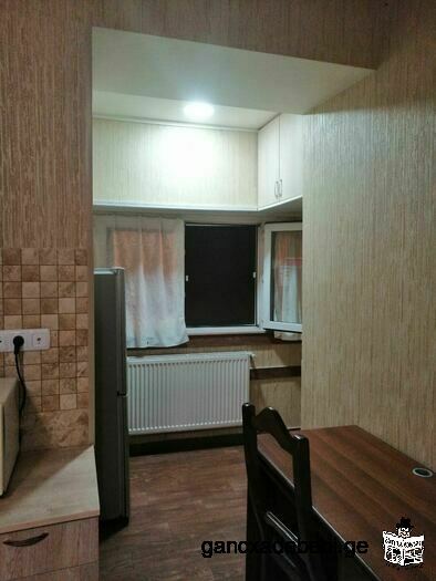 One room studio type apartment for rent in Ortachala.
