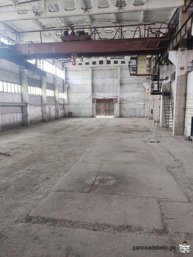 Production space 750m2 for rent