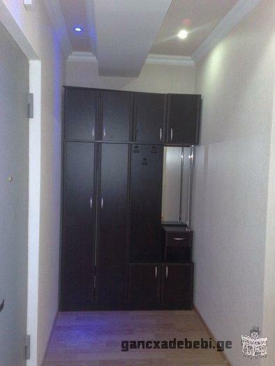 Renovated apartment for rent