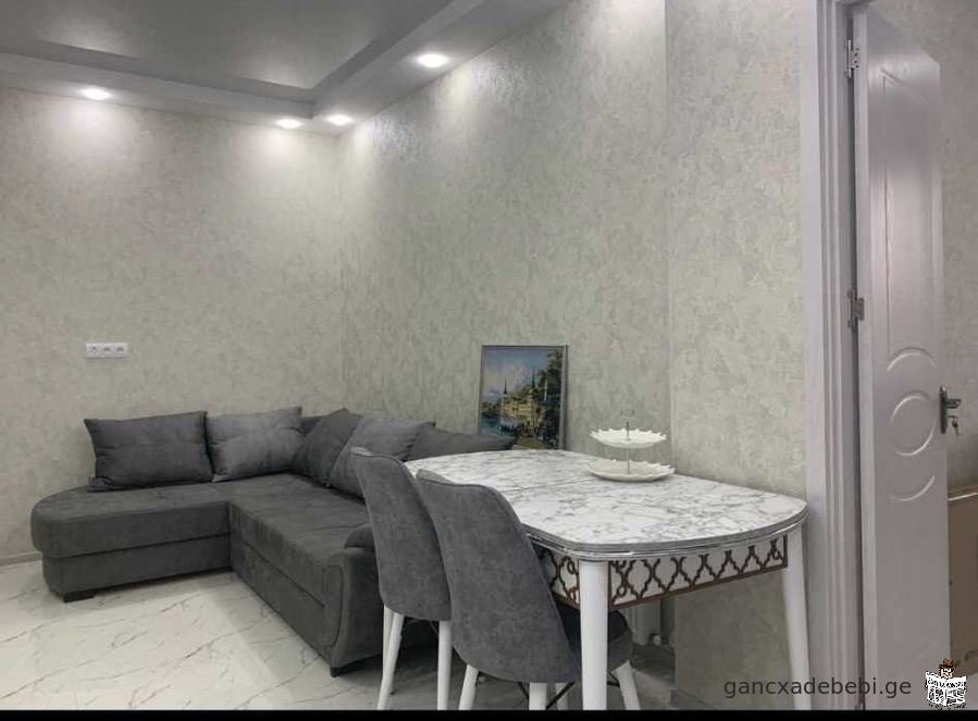 Rent Apartment in Kutaisi