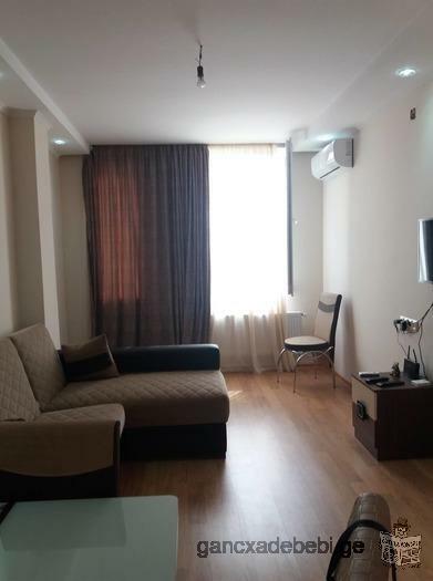 Rent a comfortable apartment in Batumi
