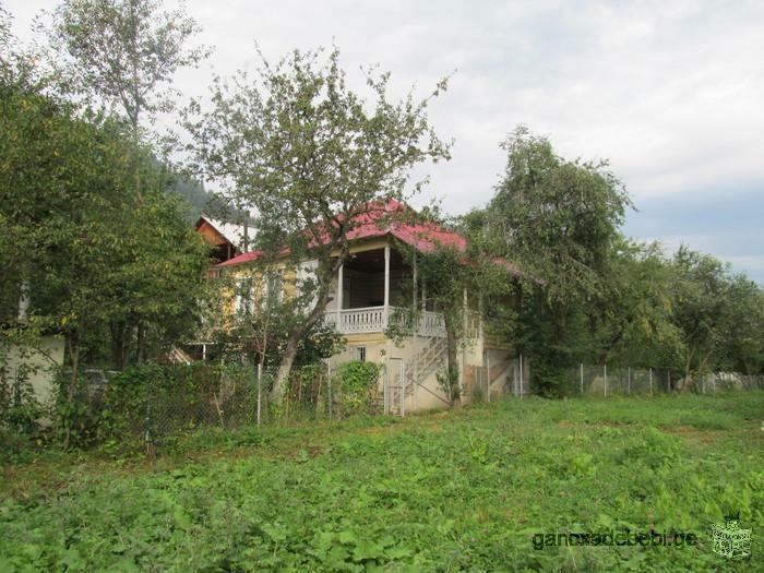 Room for rent in Borjomi, village Sadgeri
