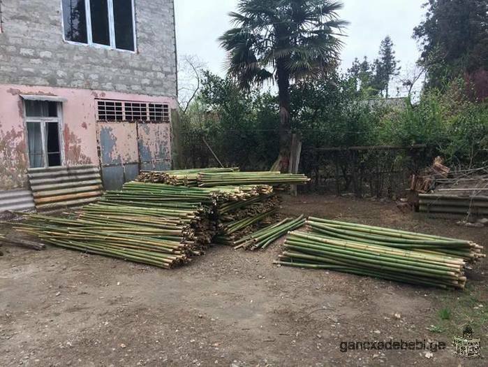 Sale Bamboo