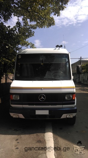 Service with Mercedes minibus