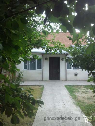 Urgently insulated, cozy house for rent near Elias. Metro station "Avlabari," 10 minutes drive.