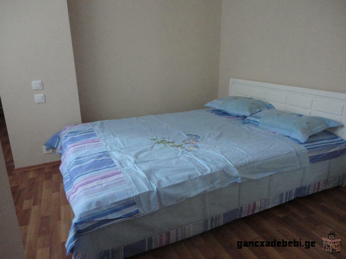 daily rent apartment in the center of Tbilisi