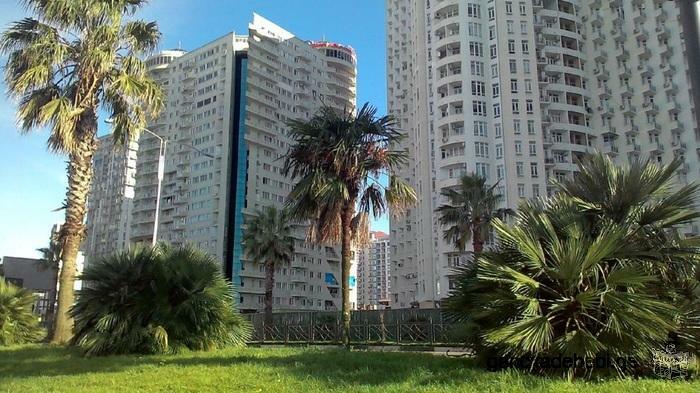 dayli rent Apartment in Batumi