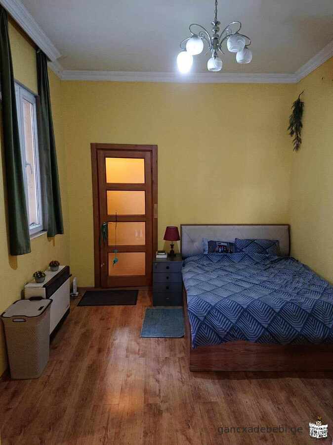 flat for rent in vera 600 usd