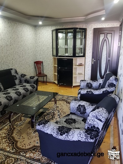 for rent 2-room renovated apartment!
