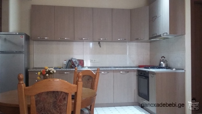 for rent newly renovated flat, with all needed furniture and own parking