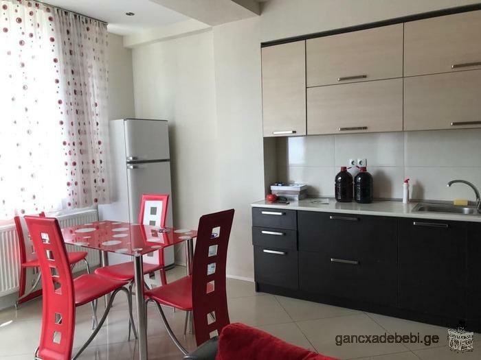for students 3 bedroom newly renovated apartment with furniture is ready for rent !