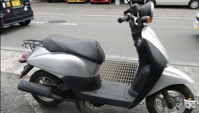 moped for rent
