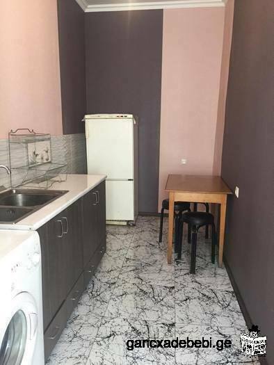 rent appartment in city center