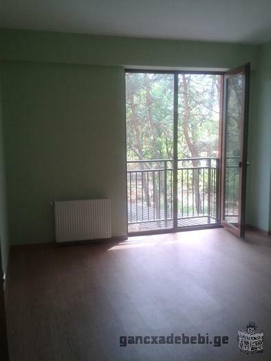three bedroom apartment for renting