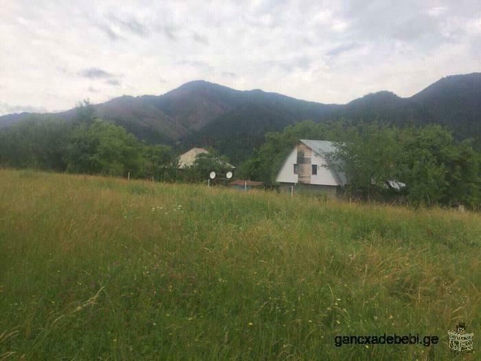 A vendre dans le quartier de Borjomi, village village de Mamazze, 4km terrain agricole 1726 m² est p