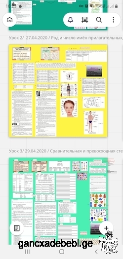 რუსული ენა: ინდივიდუალური ონლაინ (დისტანციური) გაკვეთილები