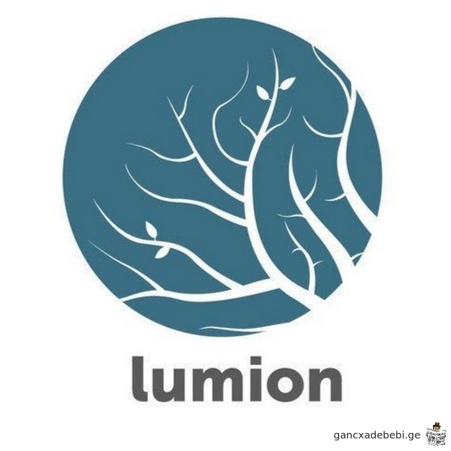 Lumion Pro - ის დაყენება