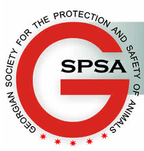 gspsa.org.ge