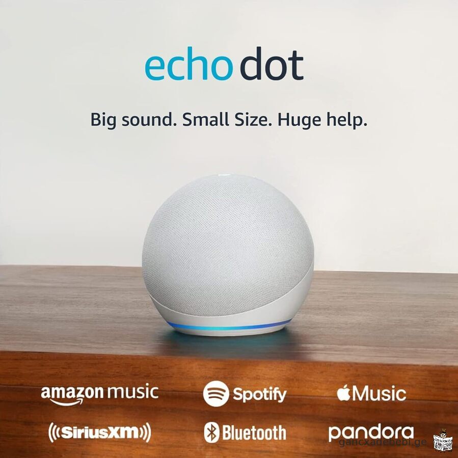 Amazon Echo Dot (me-5 Taoba, 2022 wlis gamoSveba) | ufro didi cocxali xmiT,