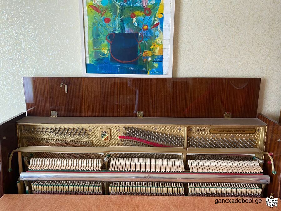 pianino “petrofi“