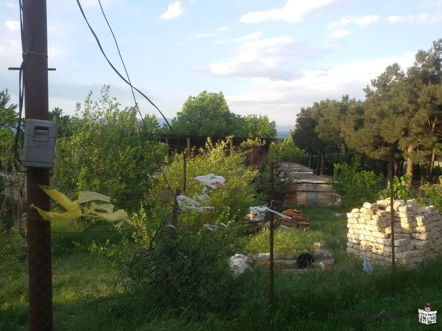 Гардабани, село Крцанис, продается приусадебный участок (с деревьями)