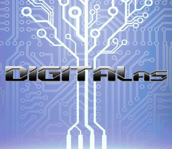 Литовская компания (ЕС) DIGITALas ищет бизнес партнёров в Грузии. Контроль безопасности