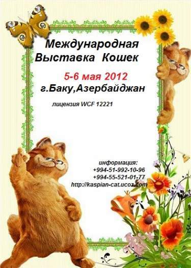Международная Выставка Кошек WCF 5-6 мая 2012 г.в Баку
