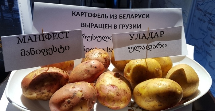 Продаем белорусский картофель
