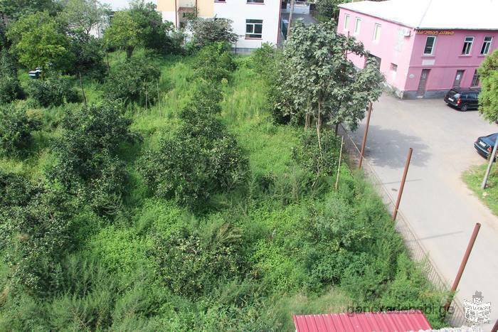 Продается земельный участок в Батуми-Ахалцихе центральной дороги