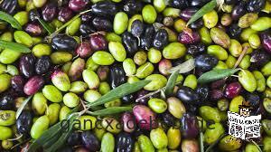 Продается натуральный греческий маринад оливок сорта Халкидики