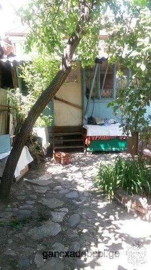 Продаю частный дом в Тбилиси район Исани