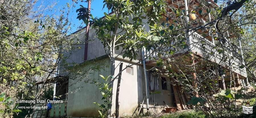Продаётся дом в муниципалитете Цхалтубо