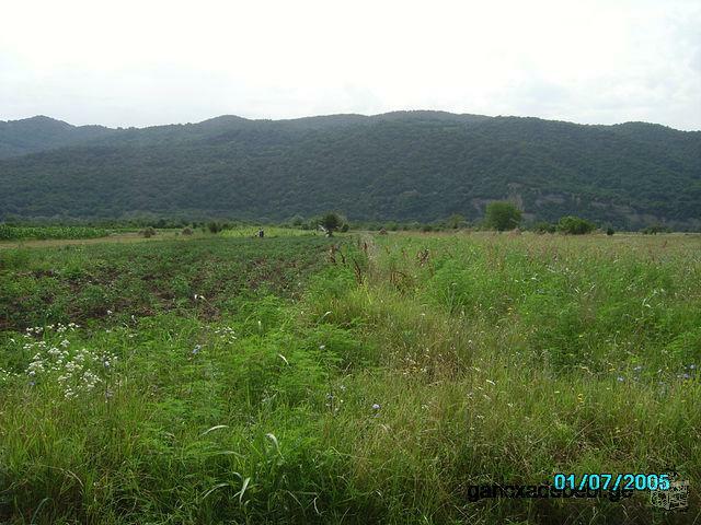 Продаётся земельный участок в селе Арагвиспири