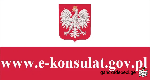 Регистрация, очередь, e-konsulat в посольство Польши!