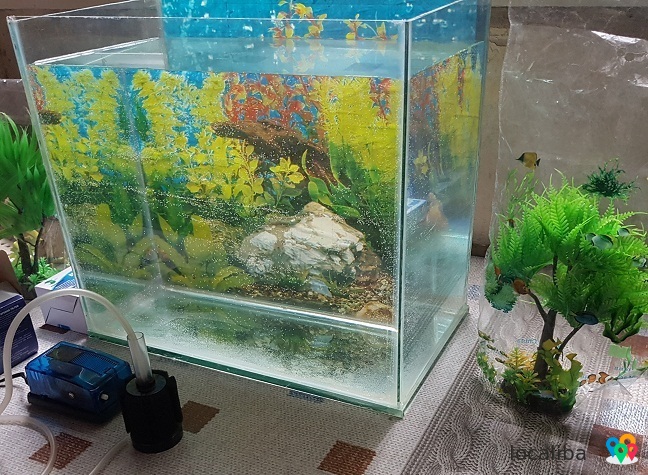 аквариум 37литровый