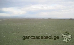 прадается земельный участок вгардабанкам районе село Крwаниси 1500 kv.m
