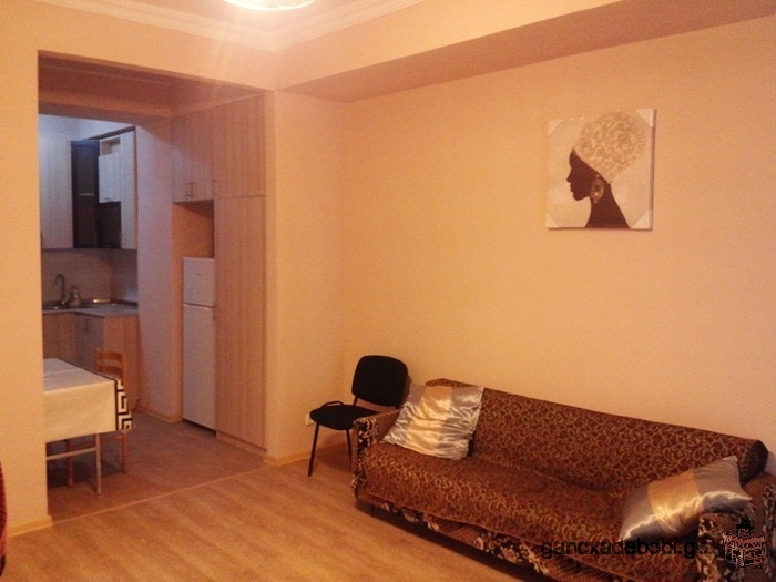 Newly renovated flat with big veranda for rent